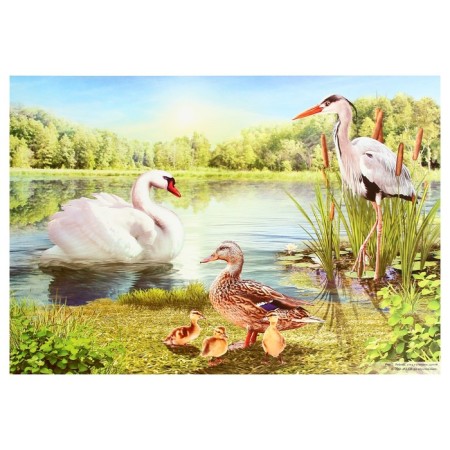 Demonstration paintings A3 "Wintering and migratory birds" Methodical material-9