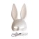 Carnival set "Baby for a million", mask, butterfly