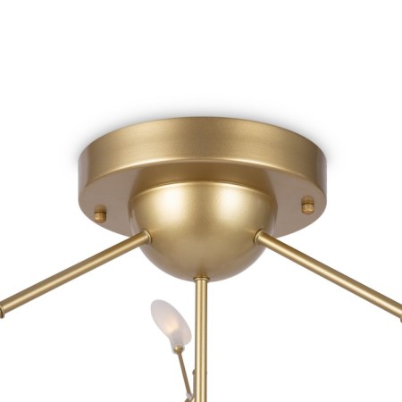 Ceiling lamp Florencia, 36xg4, Color Gold-1