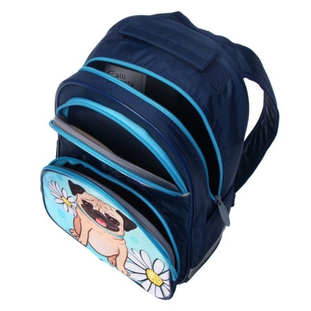 School backpack, 37 x 26 x 13 cm, ergonomic back, calligrata AN "bulldog"-9