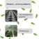 Mulching material, with perforation, 5 × 1.6 m, density 80 g/m², spanbond with a UV stabilizer, black, Greengo, economy 30%