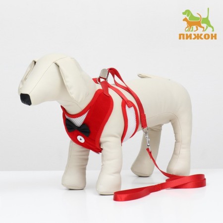 A set with a soft harness and a bow, size l, leash 120 x 1.5 cm, og 35-50 cm, red