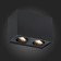 Ceiling lamp ST LUCE. ST109.407.02. 2x50 W, GU10, 18,1x10x12.3 cm, black color