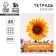 An objective note 48 sheets, A5, objects, with reference materials “September 1: Biology”, cover coated cardboard 230 gr., Inner block in a cage 80 gr., Whiteness up to 80%, block No. 2.