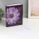 Photo album for 200 photos 10x15 cm "Flower collection" mix