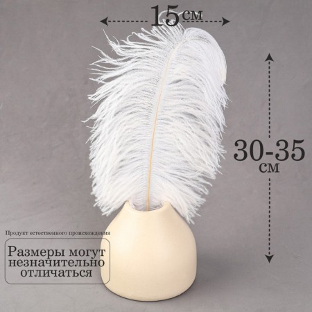 Feather for decor, size: 30-35 cm, white color-1
