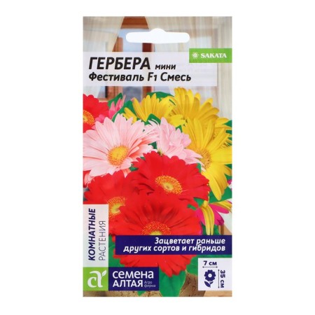 Herbera seeds mini "Festival", F1, 3 pcs.