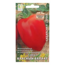 Seeds Tomat 