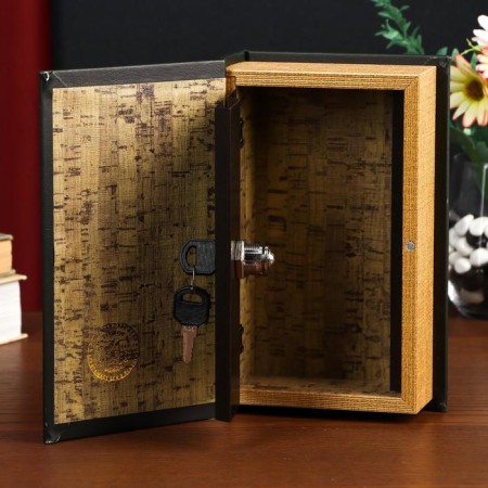 Safe box book "History of my success" embossing 21x13x5 cm-4