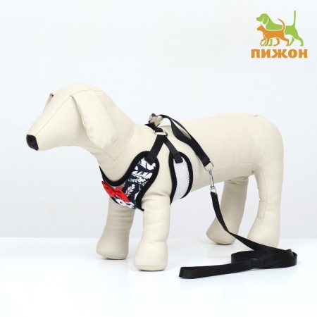 A set with a soft harness and a bow "feathers", size M, leash 120 x 1.5 cm, og 28-46 cm
