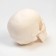Model "Human Skull" 20*15*18cm