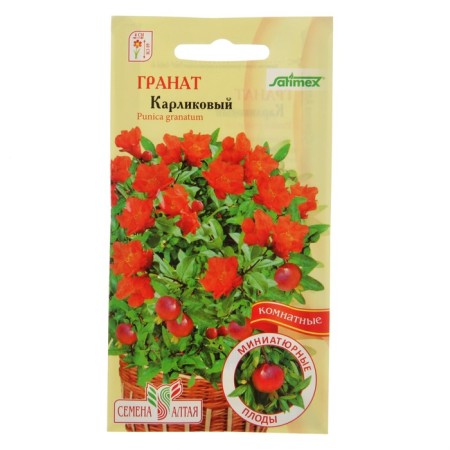 Seeds of indoor flowers grenades dwarf, pl, CP, 5 pcs.-2