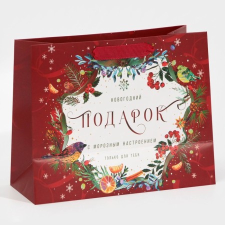 Laminated horizontal package “Frosted”, MS 18 x 23 x 10 cm, New Year-2