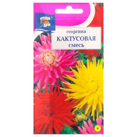 Georgin flowers "Cactus mixture", 0.2 g