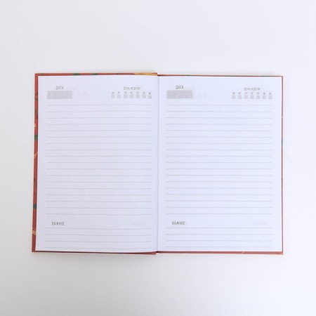 New Year's gift set, A5 diary, 80 sheets, thermostatic 350 ml of “Magic in the New Year”-2