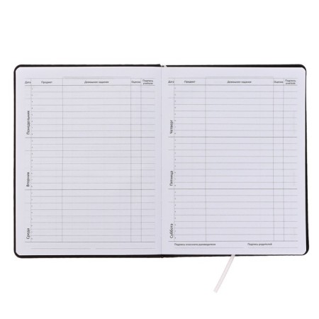 Universal diary for grades 1-11 T-ROX, hard cover, artificial leather, silk-screen printing, Liesse, 80 g/m2-4