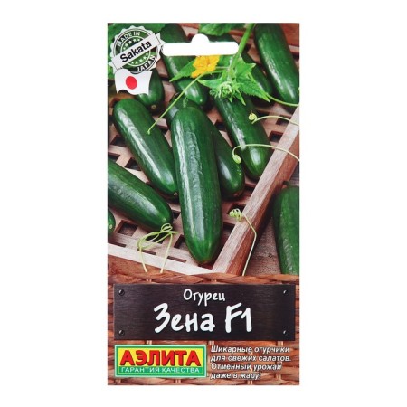 Seeds Cucumber Zen F1 shed. world. Sitting. C/p 7pcs