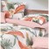 Bed linen 1.5 joint venture "Poinsettia", size 150x215 cm, 145x215 cm, 70x70 cm - 2 pcs