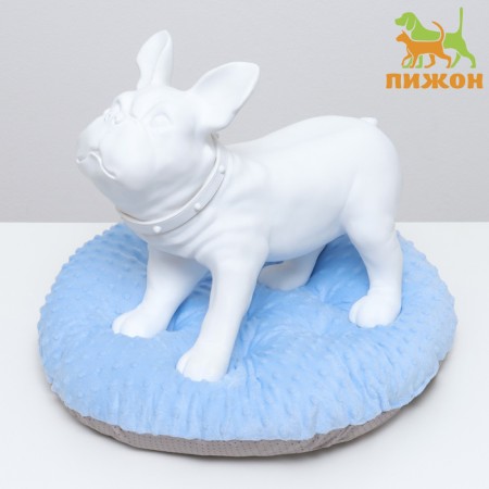 Animal Stear "Tenderness", 50 x 50 x 10 cm, blue-1