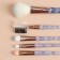 Set of makeup brushes "Conus", 5 objects, color mix