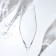 Set of glasses for champagne Loxia, glass, 210 ml, 6 pcs
