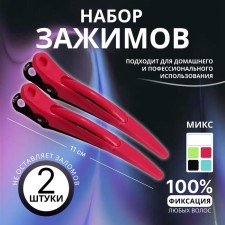 Hair clips, set - 2 pcs, 11 cm, color mix