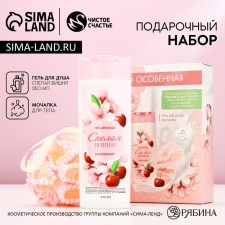 Подарочный набор косметики «Ты особенная!», гель для душа 250 мл и мочалка, ЧИСТОЕ СЧАСТЬЕ