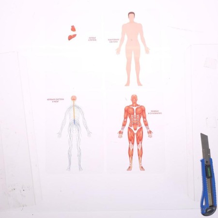Set for experiments "Human Building", 10 training cards-5