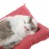 Toy on a car panel, pillow cat, white-gray color