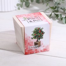 Set for growing p & p 
