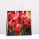 Tulip package, soft plastic, 30 x 30 cm, 120 μm