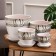 Set of flower pots 4 pcs. White lotus 0.4 / 1 / 2.5 / 5 l
