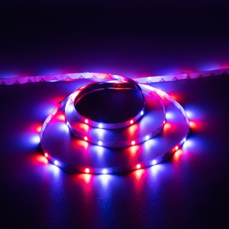Ecola Pro 5 m, IP20, SMD2835, 60 LED/m, 4.8 W/m, 12 V, RGB-5