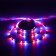 Ecola Pro 5 m, IP20, SMD2835, 60 LED/m, 4.8 W/m, 12 V, RGB