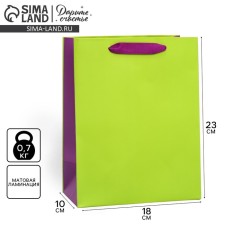 Gift package two-tone, packaging, “light green”, MS 18 x 23 x 10 cm