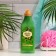Shower Mate Olives and Green Tea, 550 ml shower