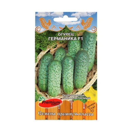 Germanica cucumber seeds F1, early -grown, parthenocarpic, 10pcs-2