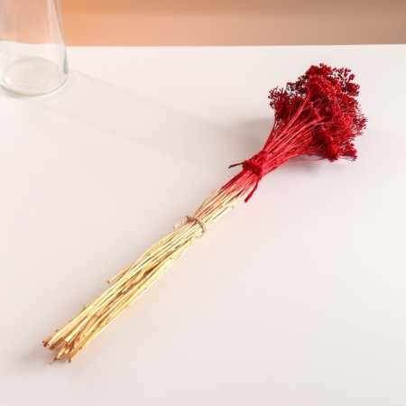 A set of dried flowers "yarrow", banch length 60 (+/- 6 cm), red-3