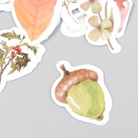 Stickers for creativity "Forest Harvest" set 46 pcs 4.4x4.4x1.1 cm-1