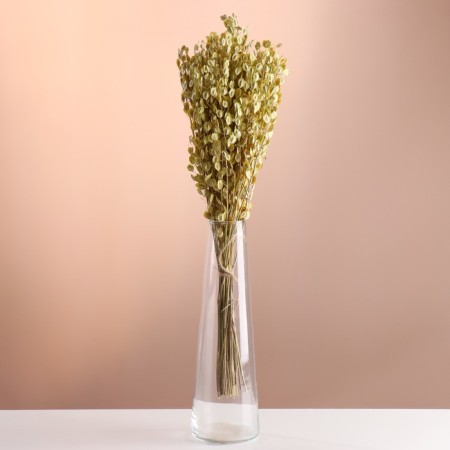 Set of dried flowers "Monetnik", banch length 50 (+/- 6 cm), natural