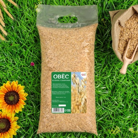 Oats seeds, my choice, 3 kg