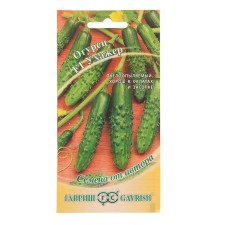 Seeds Cucumber 