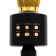 Portable karaoke microphone, 5 watts, 1200 mAh, LED, black and golden