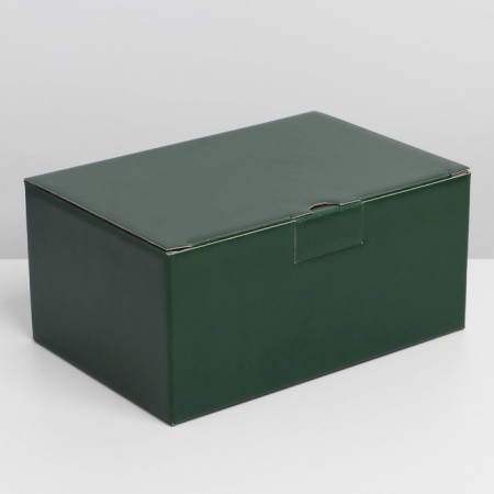 Gift folding box, packaging, "green", 22 x 15 x 10 cm-3