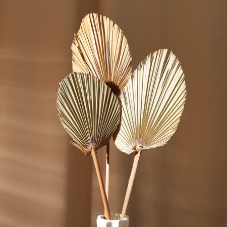 Dry flowers "Palm leaf", 54 × 110 × 2 cm-3