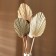 Dry flowers "Palm leaf", 54 × 110 × 2 cm