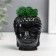 Concrete Kashpo "Buddha" with moss 7*6 cm black (moss green stabilized)