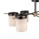 Freya FR5377CL-06B Bogy, 950x950x330 mm ceiling lamp, E14, 6x40W, black color black