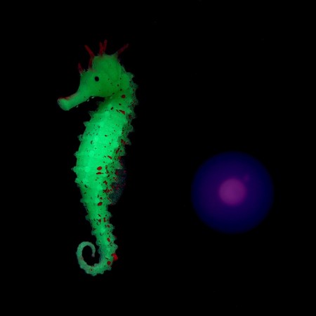 Decor for the Aquarium "Sea Horse" Silicone, with a neon effect, 2 x 4 x 10 cm, green 71088-3