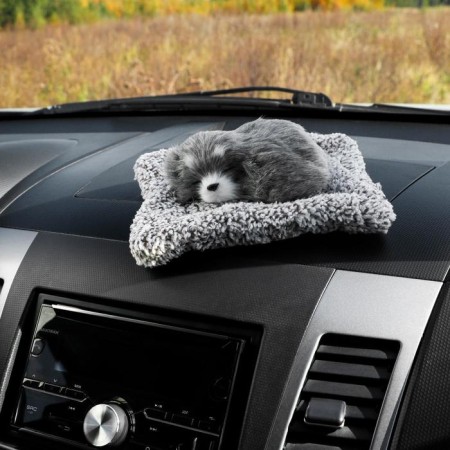 Toy on a car panel, a dog on a pillow, gray color